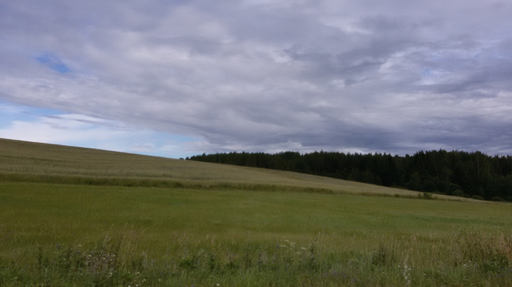 Nature biélorusse paysages