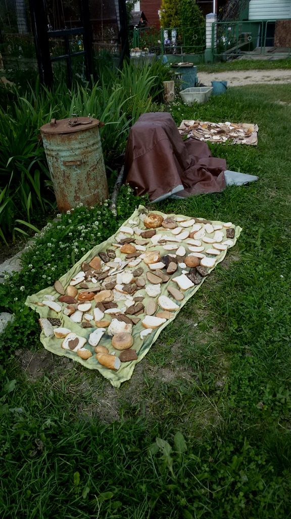 pain séché datcha biélorusse maison d'été